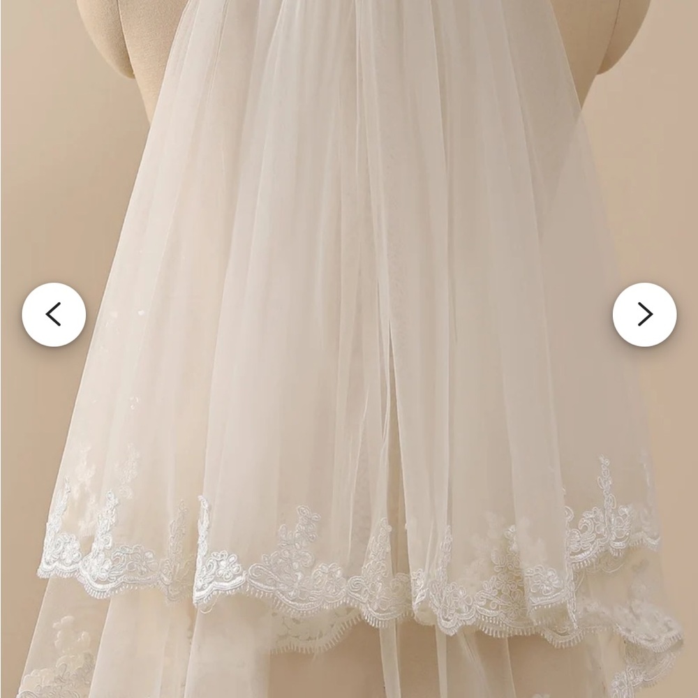 Elegant Lace Trimmed Veil
